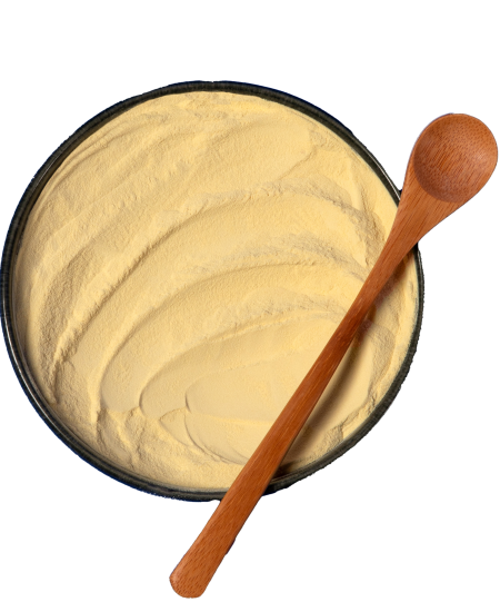 Yeast extract 1 Yeast extract 1
